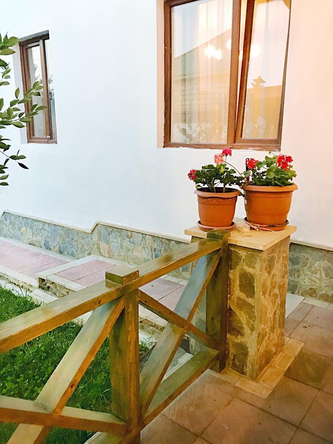 Villa Gabala Sweet Lounge Exterior foto